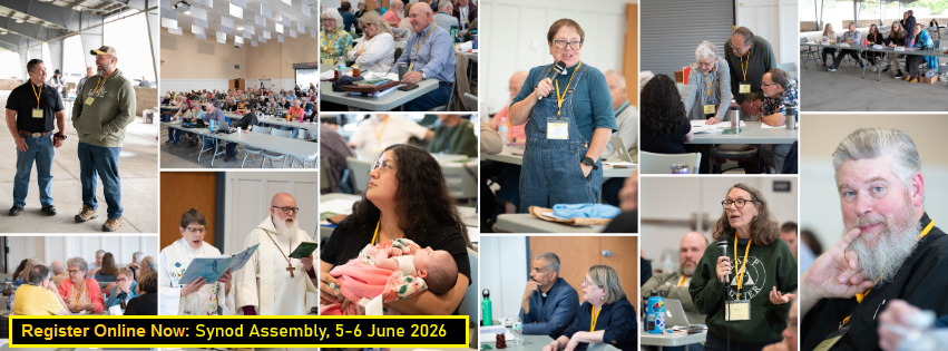 Synod Assembly in action